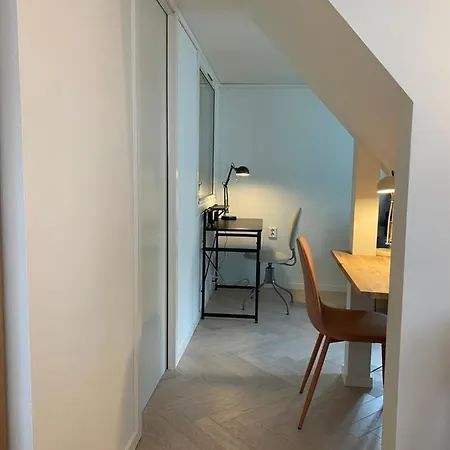 Entire Renovated From 1780 With Kitchen, Bath, Bedroom, And Living In Skuteviken *