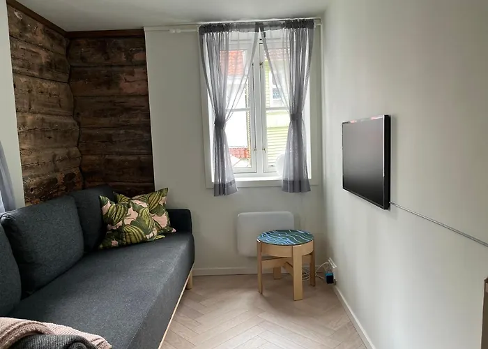 Entire Renovated From 1780 With Kitchen, Bath, Bedroom, And Living In Skuteviken *