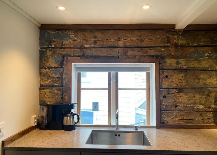 Entire Renovated Apartment From 1780 With Kitchen, Bath, Bedroom, And Living Room In Skuteviken Apartment *